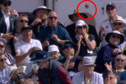 Watch crazy moment New Zealand star’s six splashes into fan’s PINT… as England moan cider-soaked ball stopped swinging
