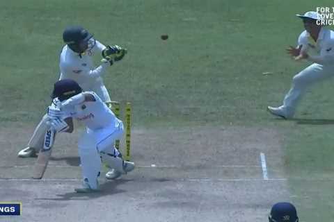 ‘Instant karma for you’ – Watch laughing David Warner go down in pain after being hit in balls with flying BAIL