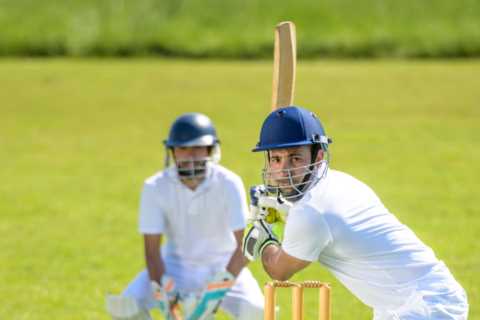 Woke madness as cricket bosses ban phrases such as ‘ladies and gentleman’ and ‘young at heart’