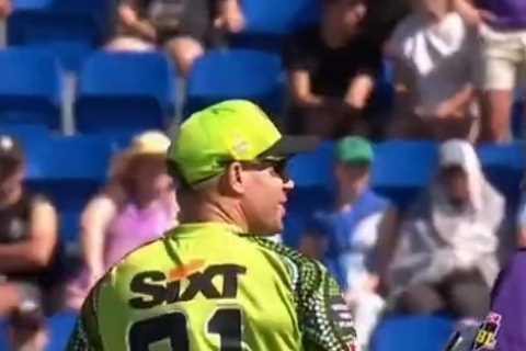 Watch David Warner SHOVE former Australia team-mate Matthew Wade in ‘unsavoury’ row during Big Bash League clash