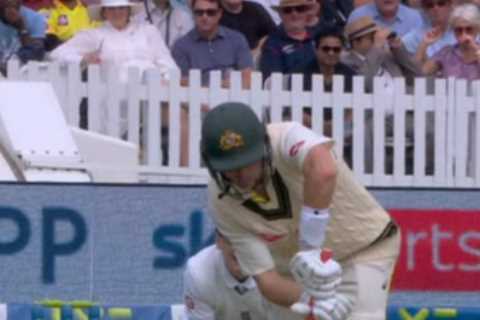 What is LBW and how does Umpire’s Call work?