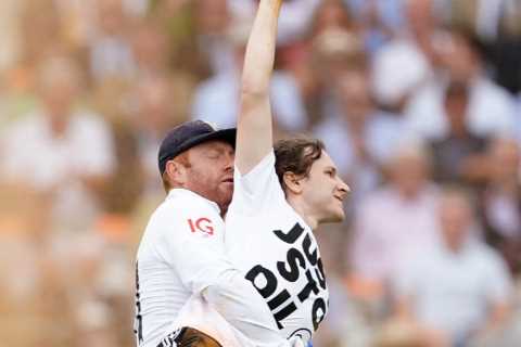 England cricket ace Jonny Bairstow hailed a hero by Rishi Sunak for carting eco-activist off Ashes pitch