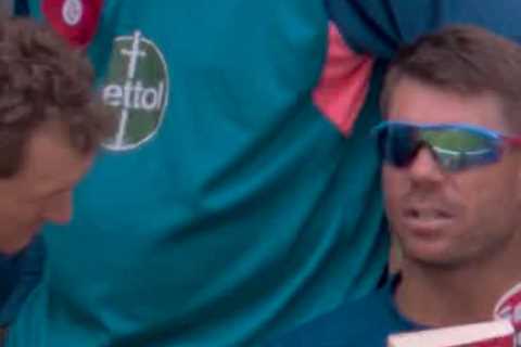 Australia star David Warner winds down during Ashes with The Sun’s crossword book as Ponting absolutely destroys him