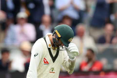 Ashes fans hail one ‘of the great moments in cricket history’ as injured Nathan Lyon hobbles out to bat at Lord’s