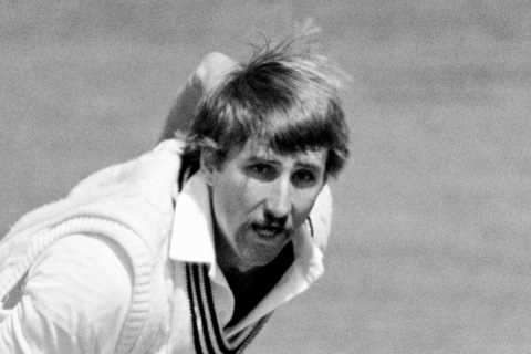 I cheated death as a cricketer then took up an entirely different job – I’m unemployable but my new career suits me
