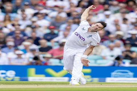 Jimmy Anderson gets knighted by Rishi – along with a boatload of his Tory mates