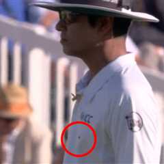 When Ladybirds Literally Stopped Cricket at Lord's (Yes, Really)