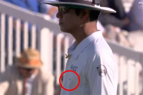 When Ladybirds Literally Stopped Cricket at Lord's (Yes, Really)