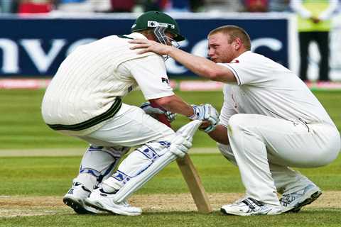 That Famous Cricket Photo? Yeah, It's Not What You Think